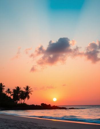 Beautiful tropical beach with coconut palm tree at sunset time - Vintage Filterの写真素材