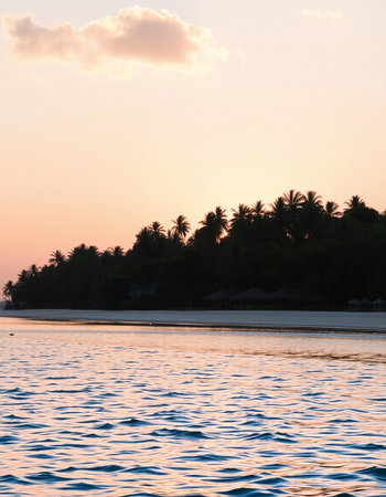 Beautiful sunset over the sea. Tropical beach with palm trees.の写真素材