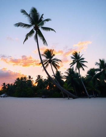 Beautiful tropical beach and sea with coconut palm tree at sunset time - Holiday Vacation concept