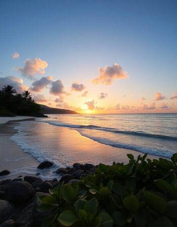 Sunset on the beach.の写真素材
