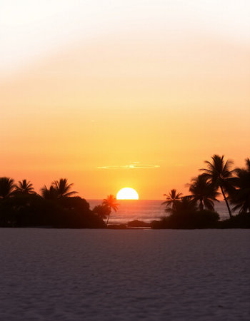 Beautiful sunset over the sea with palm trees silhouetted against orange sky
