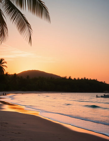 Beautiful tropical beach and sea with coconut palm tree at sunset timeの写真素材