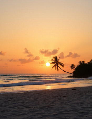 Palm tree silhouette on a tropical beach at sunset, Sri Lanka