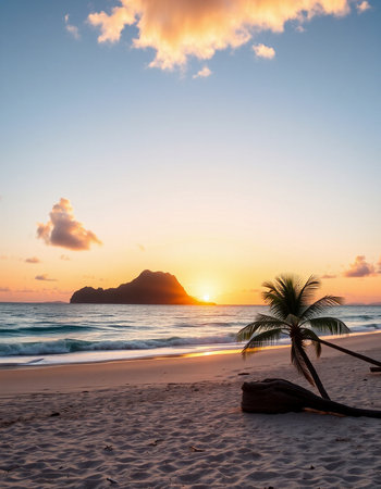 Sunset on the beachの写真素材