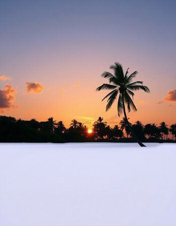 Silhouette of coconut palm tree on the beach at sunset.の写真素材