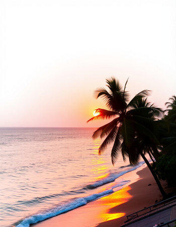 Beautiful sunset on the beach with palm trees and sea background.