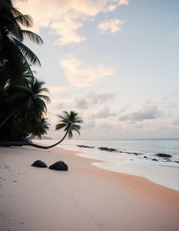 Tropical beach with coconut palm trees at sunset, Seychelles