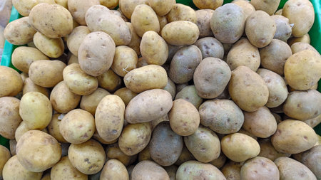 high angle view fresh raw potatoes just harvested from agricultureの写真素材