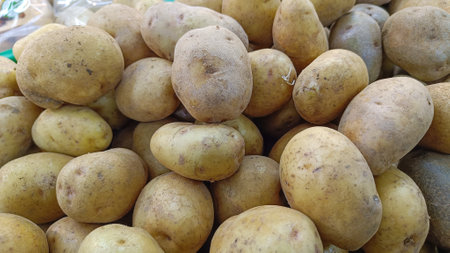 high angle view fresh raw potatoes just harvested from agricultureの写真素材