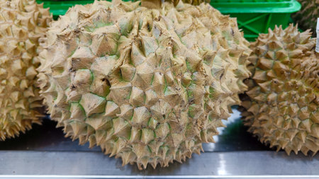Close Up of Durian Fruit with full of thorns and textured skinの写真素材