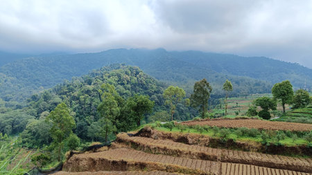 View of terraced fertile land for plantations under the foot of the mountain with a blue sky in the backgroundの写真素材