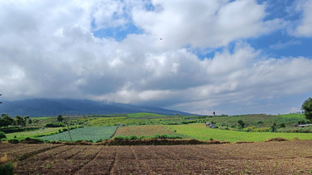 green fertile land for plantations under the foot of the mountain with a blue sky in the backgroundの写真素材
