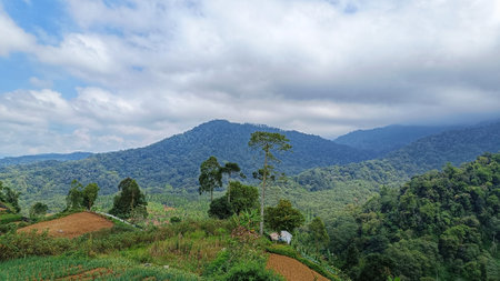 Scenery of Mountain view with green nature and blue skyの写真素材