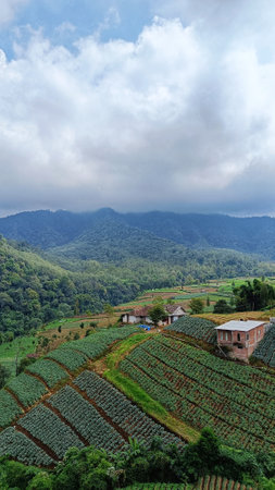 Panoramic of house in middle of vegetable plantations terraced at the foot of the mountainの写真素材