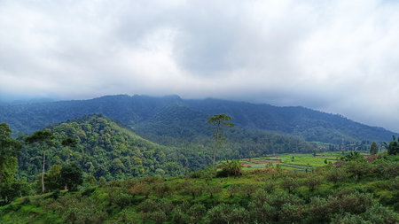 Landscape Mountain and Hills view with green nature and blue skyの写真素材