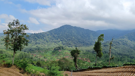 View of Mountain view with green nature and blue skyの写真素材