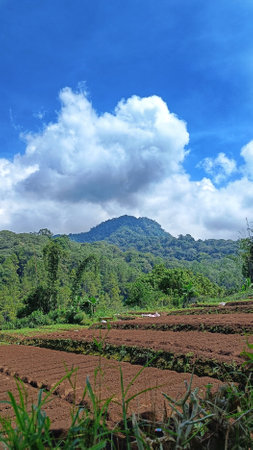 fertile land for plantations under the foot of the mountain with a blue sky in the background, copy space for storyの写真素材
