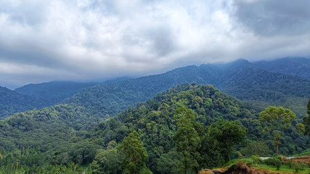 Scenery of Mountain and Hills view with green nature and blue skyの写真素材