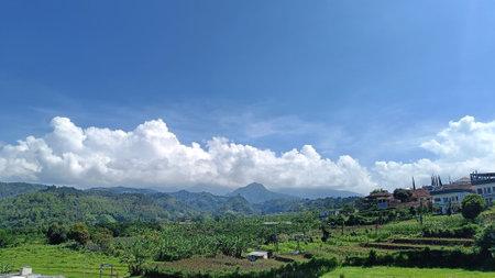 scenery view of green plantation with mountain background and blue skyの写真素材