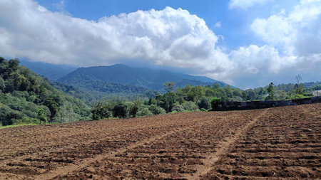 View of fertile land for plantations under the foot of the mountain with a blue sky in the backgroundの写真素材