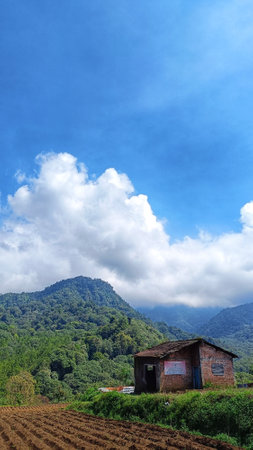 View of the house in the middle of the plantation at the foot of the mountain, copy space for storyの写真素材