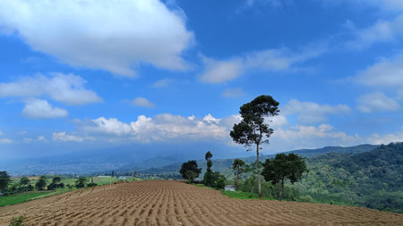 View of fertile land for plantations with a blue sky in the backgroundの写真素材