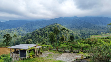 View of the house or cottage in the middle of the plantation at the foot of the hills and mountains