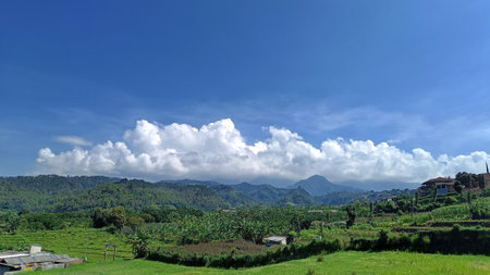 Landscape green nature, blue sky and white cloudsの写真素材
