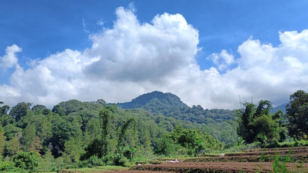 Landscape Mountain and Hills view with green nature and blue skyの写真素材