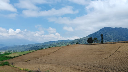 fertile land for plantations under the foot of the mountain with a blue sky in the backgroundの写真素材