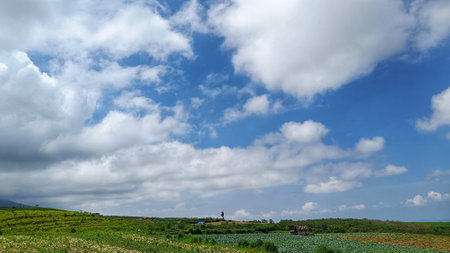 Scenery view of green plantation with mountain background and blue skyの写真素材