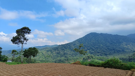 View of fertile land for plantations under the foot of the mountain and hills with a blue sky in the backgroundの写真素材