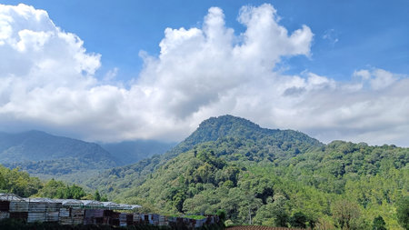 Landscape Mountain view with green nature and blue skyの写真素材