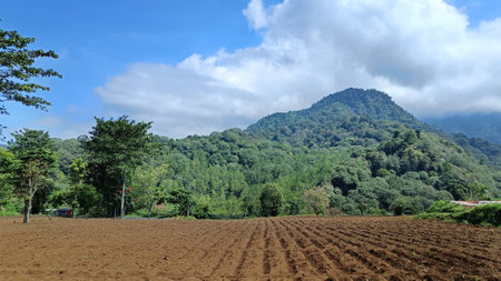 View of fertile land for plantations under the foot of the mountain with a blue sky in the backgroundの写真素材
