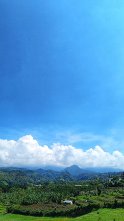 green plantation with mountain background and blue sky, copy space for storyの写真素材
