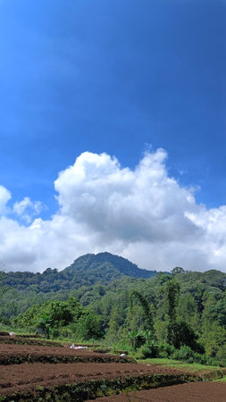 fertile land for plantations at the foot of the mountain, copy space for storyの写真素材