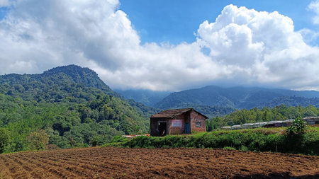 View of the house in the middle of the plantation at the foot of the mountainの写真素材