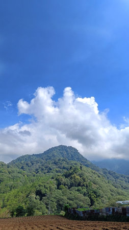 fertile land for plantations at the foot of the mountain with a blue sky in the background, copy space for storyの写真素材