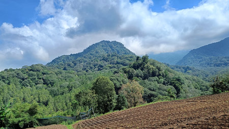 View of fertile land for plantations under the foot of the mountain with a blue sky in the backgroundの写真素材