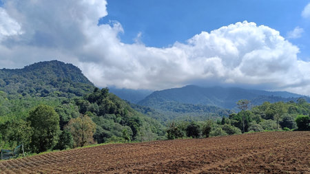 View of fertile land for plantations under the foot of the mountain with a blue sky in the backgroundの写真素材