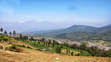 scenery of fertile land for vegetable plantations at the foot of the mountainの写真素材