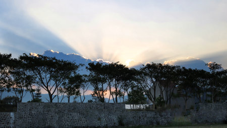 sunset ambience on green field with treesの写真素材