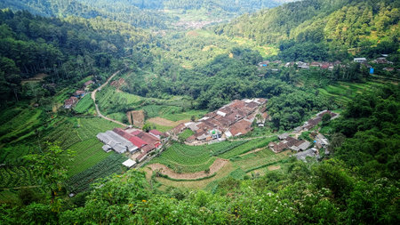 top view of village landscape with blue sky and white clouds