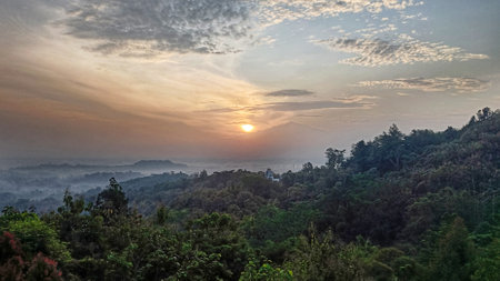 sunrise views with a natural green forest atmosphere