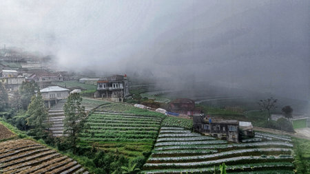 Landscape of terraced farming with a misty atmosphereの写真素材