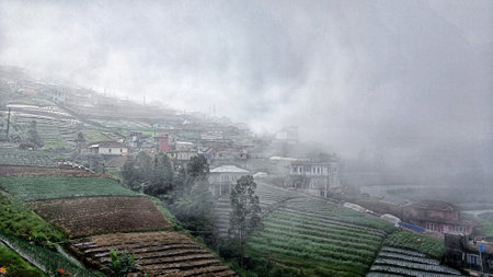 Landscape of terraced farming with a misty atmosphereの写真素材