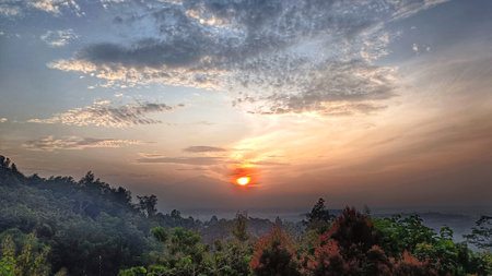 sunrise views with a natural green forest atmosphere