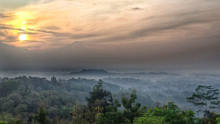 sunrise views with a natural green forest atmosphereの写真素材