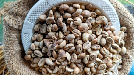 fresh roasted coffee beans in classic sacksの写真素材