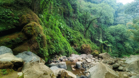 The river water flows surrounded by natural rocksの写真素材